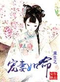 重生之宠妻如命（作者：安酥）